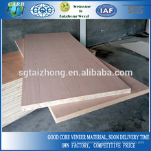 44mm Natural Beech Flush Door